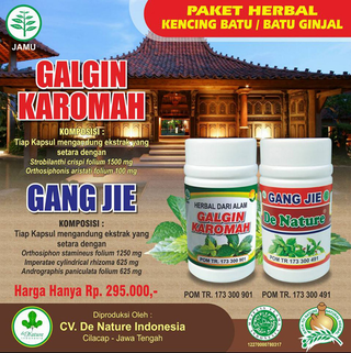 Illustration for article titled contoh obat batu ginjal